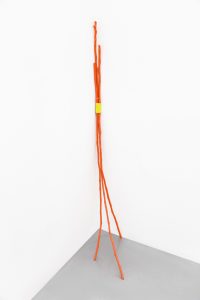 Fotografía: Juan José Moreno Espinel