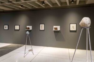 Ejercicios de agrimensura (Registro fotográfico) 2.1